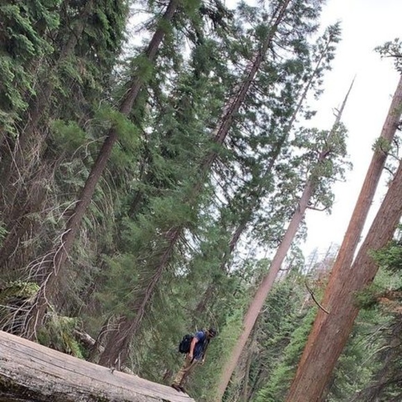 Meet your Posher, Andrew - Picture 1 of 1